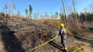 Hasiči zasahují u požáru lesa v Návsí, museli vyhlásit III. stupeň poplachu