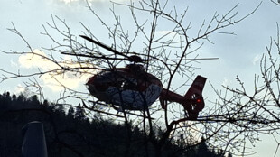 Muž se vážně zranil při práci se dřevem v Kozlovicích