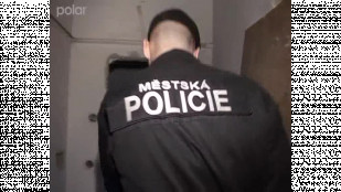 Noční služba Městské policie