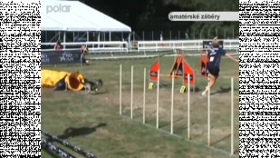 Vítězka Mistrovství světa v agility