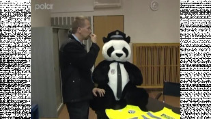 Panda obšťastňuje děti