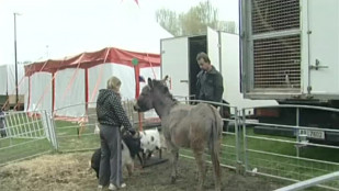 Návštěva v zákulisí cirkusu Berosini