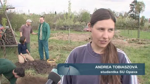 Archeologická lokalita u Studénky vydala svá tajemství