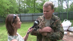 Havířovský ochránce přírody zachraňuje narozená srnčata