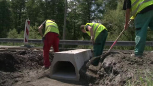 Těrlické žáby už se nemusí bát, že skončí kvůli rozmnožování pod koly aut