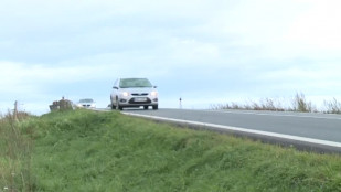 Pachové ohradníky zabraňují střetům automobilů se zvěří