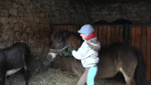 Vánoce na bludovickém statku probíhají podle starých tradic