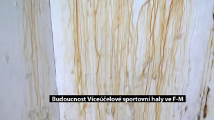 Budoucnost Víceúčelové sportovní haly ve F-M