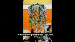 Fotografie z Europa Cupu 2011 Havířov vystavuje ve sněmovně