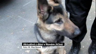 Aktuálně z dění v Novém Jičíně 16. 4. 2012