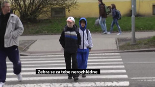 Akce Zebra se za tebe nerozhlédne se konala i v Karviné