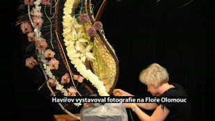 Havířov vystavoval fotografie na Floře Olomouc