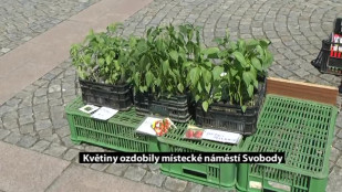 Květiny zdobily místecké náměstí Svobody