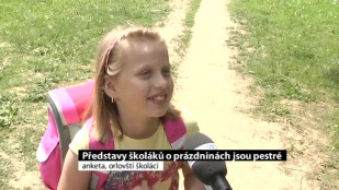 Představy školáků o prázdninách jsou pestré