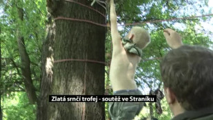 Zlatá srnčí trofej – soutěž ve Straníku u Nového Jičína