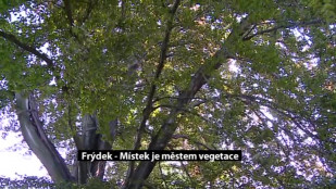 Frýdek - Místek je město vegetace