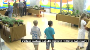 Výstava kaktusů nabídla zajímavé rostliny i dobré rady