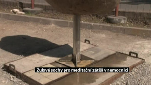 V Třinci tvoří žulové sochy do nemocničního parku v Havířově