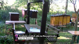 Krádeže včelích úlů na Novojičínsku