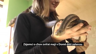 Zájemci o chov zvířat mají v Domě dětí zelenou