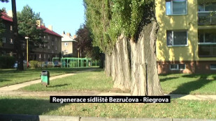 Regenerace sídliště Bezručova - Riegrova v Novém Jičíně