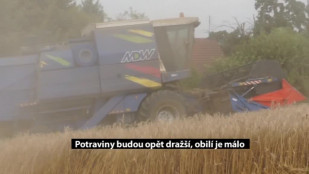 Potraviny budou opět dražší, obilí je málo