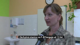 Záchytná stanice ve Frýdku-Místku funguje už 15 let