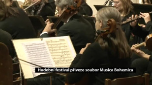 Hudební festival přiveze soubor Musica Bohemica