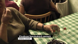 Vinobraní karvinských seniorů