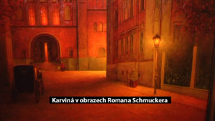 Karviná v obrazech Romana Schmuckera