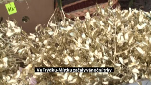 Ve Frýdku-Místku začaly vánoční trhy