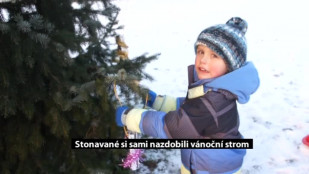 Na Novém Světě si obyvatelé vyzdobili vánoční strom