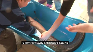 V Havířově lovily děti kapry z bazénu