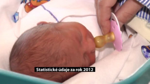 Statistické údaje za rok 2012 ve městě Karviná