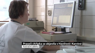 V Havířově i Karviné se objevily případy prasečí chřipky