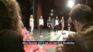 Soutěž dívek Miss Reneta 2013 už má své finalistky