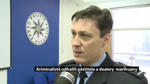 Kriminalisté odhalili pěstitele a dealery marihuany