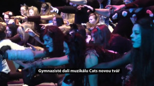 Orlovští gymnazisté dali muzikálu Cats novou tvář