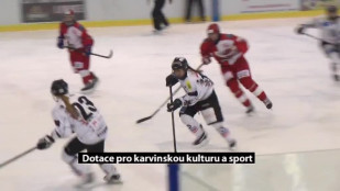 Dotace pro karvinskou kulturu a sport