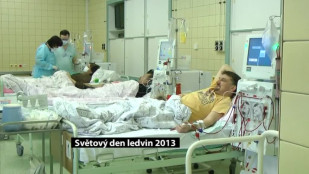 Světový den ledvin 2013 v Novém Jičíně