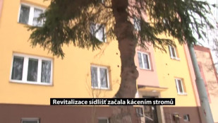 Revitalizace dvou sídlišť v Karviné začala kácením stromů