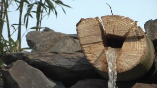 V arboretu v Pasece u Sovince teče solární vodopád