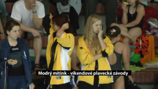 Víkendové plavecké závody pod názvem Modrý mítink v Novém Jičíně