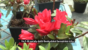 Ve F-M začaly další Beskydské farmářské trhy