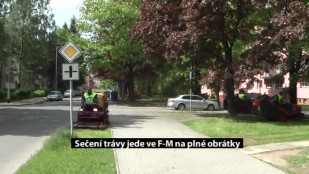 Sečení trávy jede ve F-M na plné obrátky