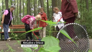 Aktuálně z Orlové 11. 6. 2013