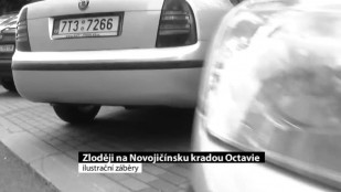 Zloději na Novojičínsku se zaměřili na Octavie