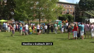 Havířov v květech 2013