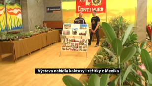 Výstava nabídla kaktusy i zážitky z Mexika