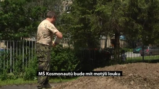 MŠ Kosmonautů bude mít motýlí louku